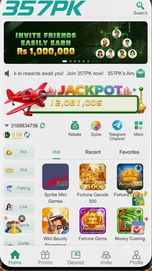 357Pak game home page