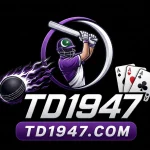 tD1947 Game APK